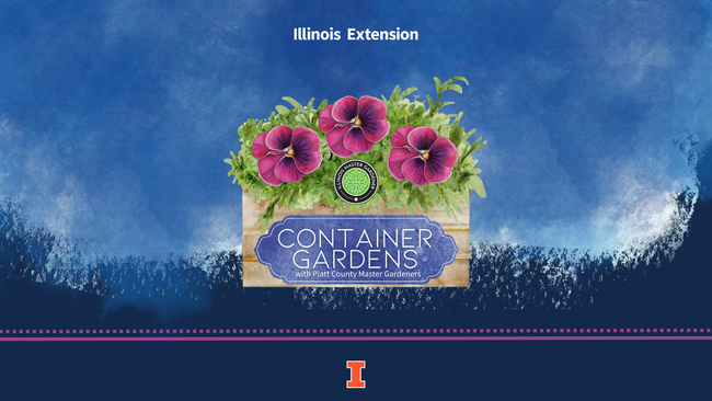 Blue background with purple flowers in box, including text "Container Gardens with Piatt County Master Gardeners"