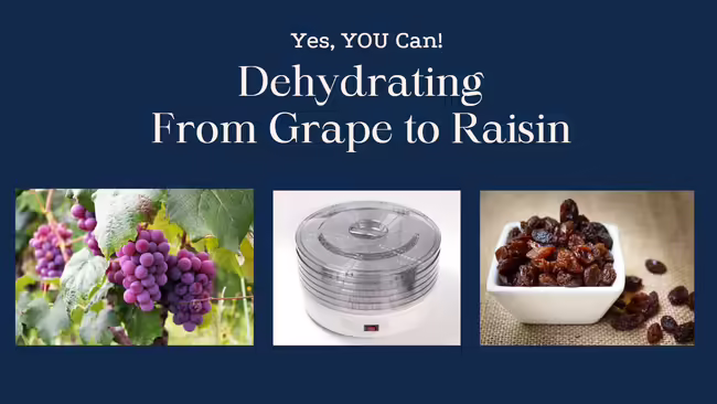 dehydrator
