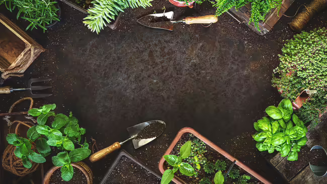 Sitting on soil is a circle of various sizes and styles of pots growing herbs