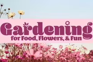 flowers in a garden
