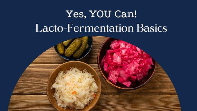 fermented foods in a bowl