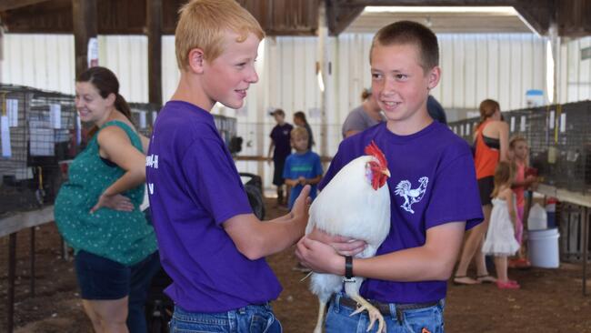 two boys at a Poultry show