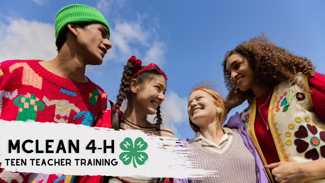 Teen Teacher Training McLean County