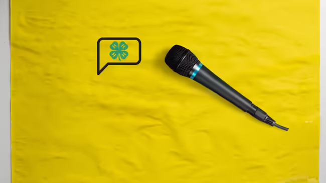 microphone