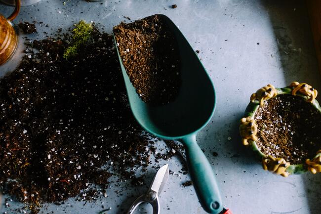 soil on table with green scoop