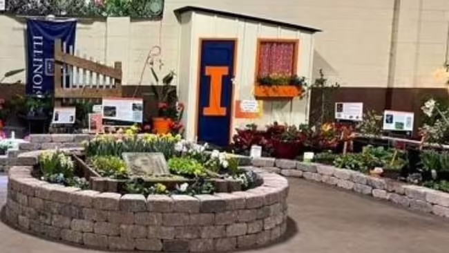 garden display