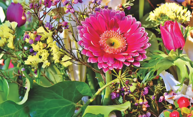 spring flowers in an arrangement