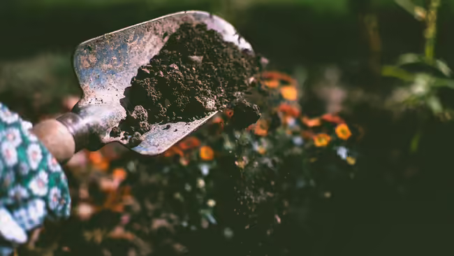 gardening trowel with dirt