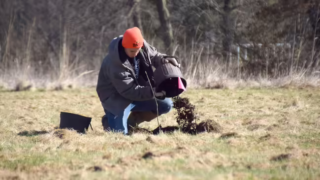 guy planting a tree