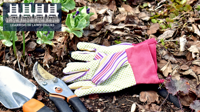 garden gloves and tools laying in the garden