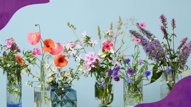 A collection of flowers in a vase.