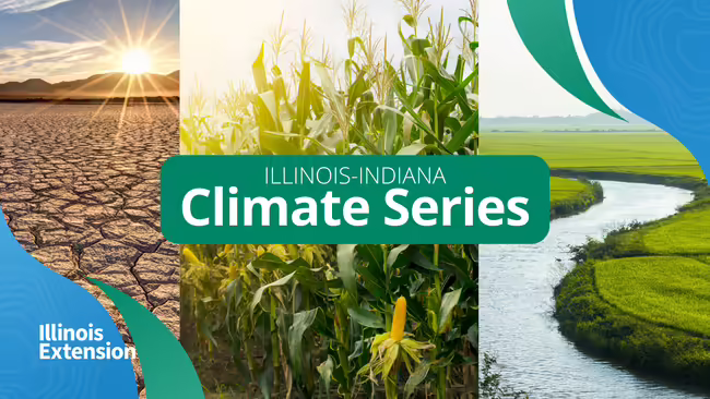 Three image split of dry soil, sunshine on corn in a field, and green grass with a river through it. Logos include white Illinois Extension and Illinois-Indiana Climate Series.