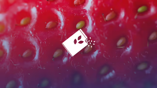 Close up of a strawberry with a graphic of a seed packet.