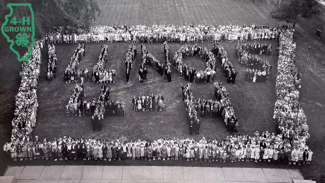 4-H Alumni Identification
