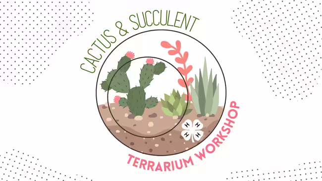 cactus and succulent planted in dirt