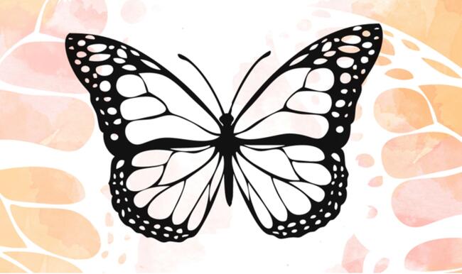 butterfly outline on an orange background