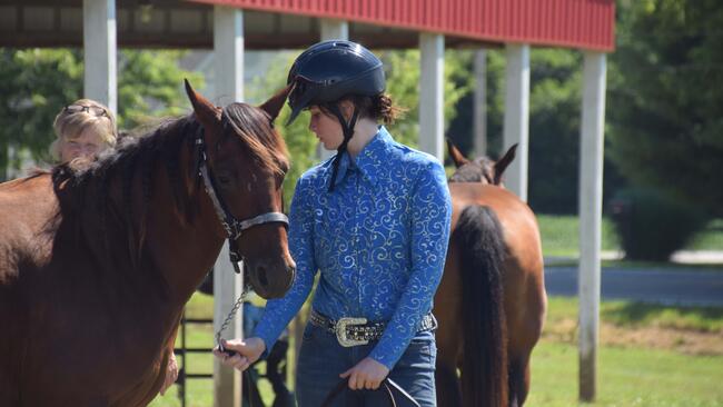 girl wearing a riding helmet looking at a horse