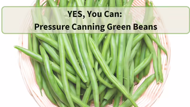bowl of green beans