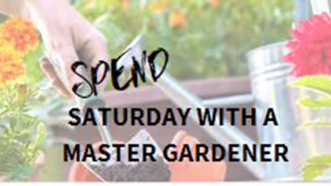 working in the garden with a trowel
