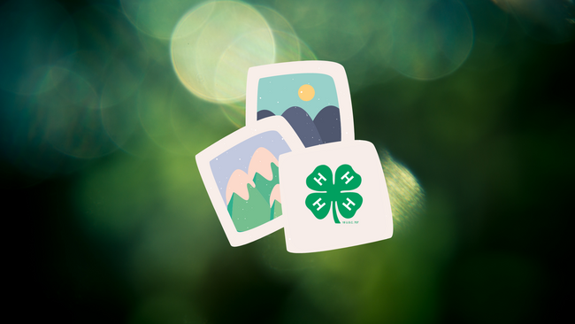 Graphic of printed photos with the 4-H clover