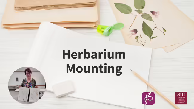 craft paper with dried plant