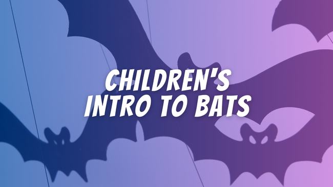 Children's Intro to Bats