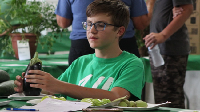 boy showing an eggplant at the 4-H fair