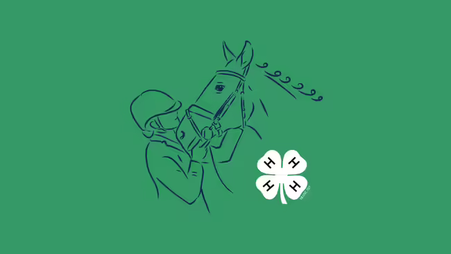 Illustration of a person petting a horse, with the 4-H clover in the forefront