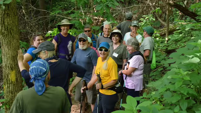 group in the woods