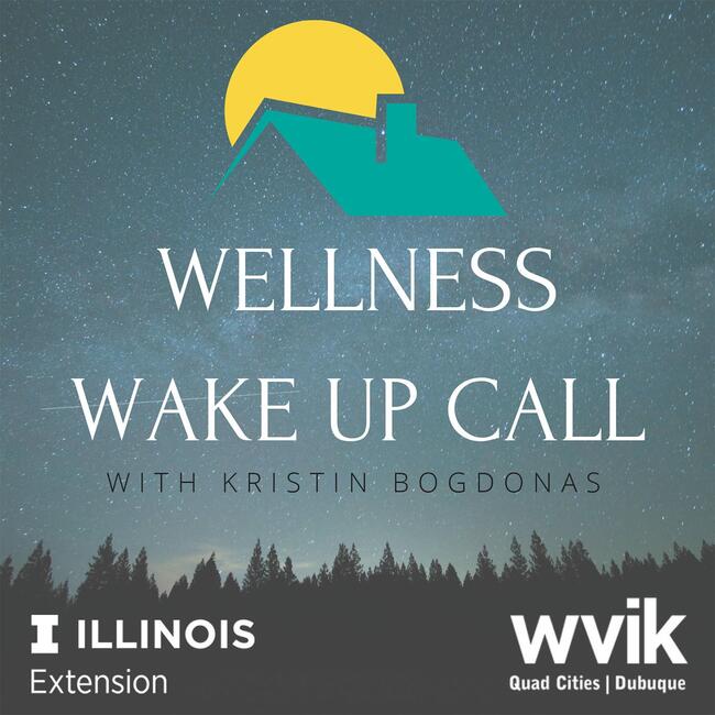 Wellness Wake Up Call podcast art