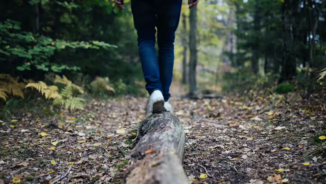 Person walking on a log in the woods