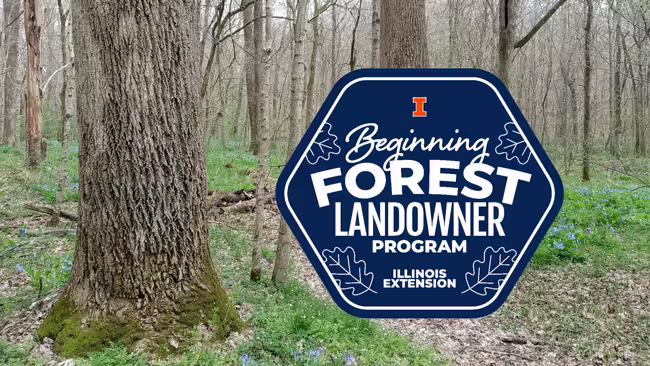 A forest with a beginning forest landowner program patch superimposed