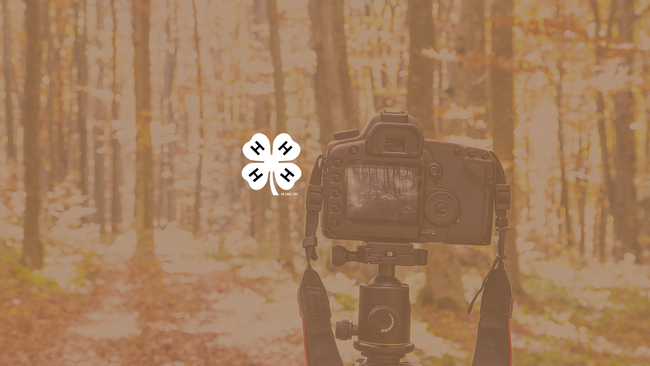 Camera in a forest with the 4-H Clover