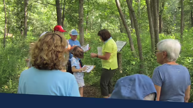 A group of people walking on a tree path and identifying trees.