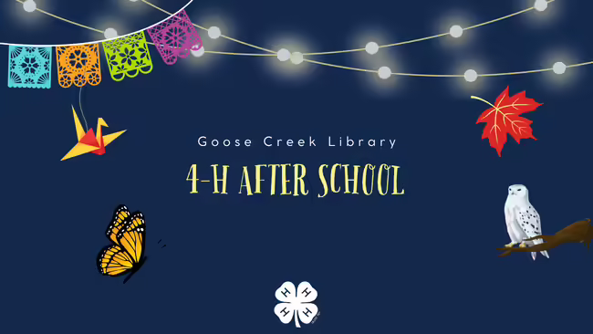 Goose Creek Library