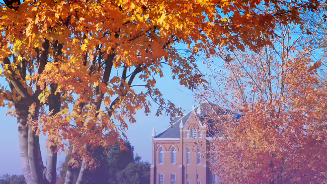 brick building behind trees with orange leaves