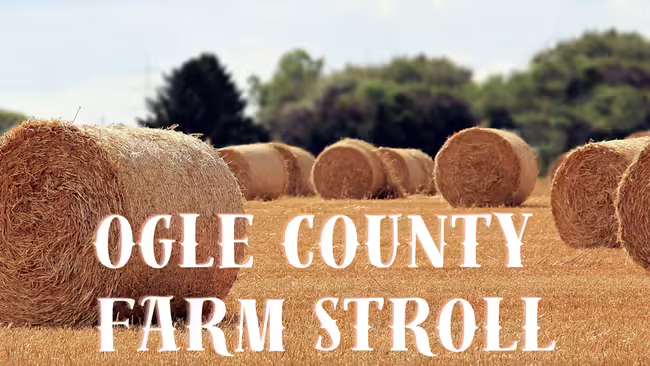 Ogle County farm stroll slide