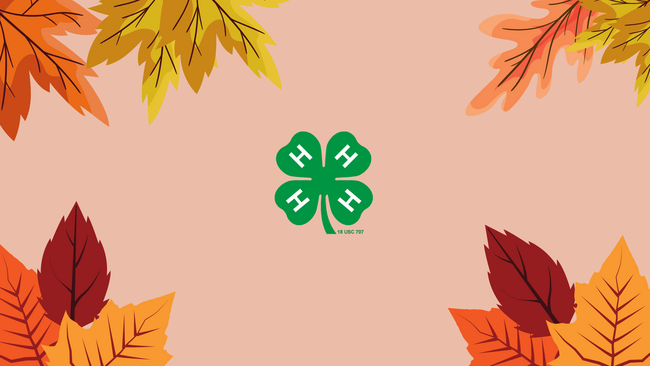 Fall leaves graphics with 4-H cloverleaf emblem.