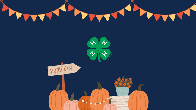 Graphic of a pumpkin patch.