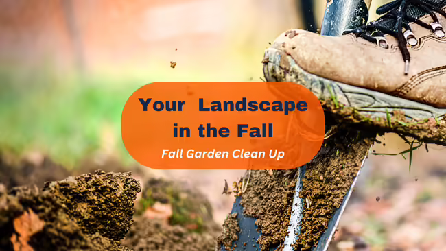 fall garden clean up