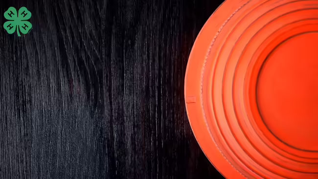 shotgun clay on a table