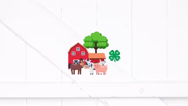 barnyard