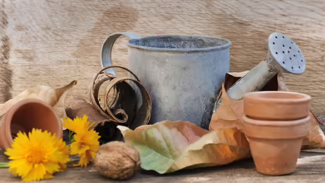 watering can with pots and flowers