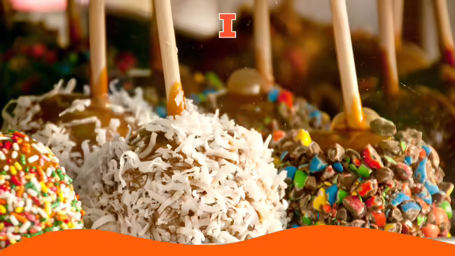 Caramel apples in different types of toppings.