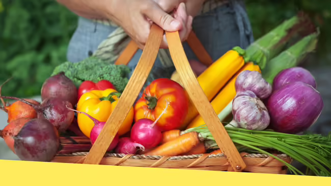 A person holding a basket full of vegetables pulled right from a garden.