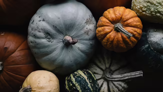 pumpkins