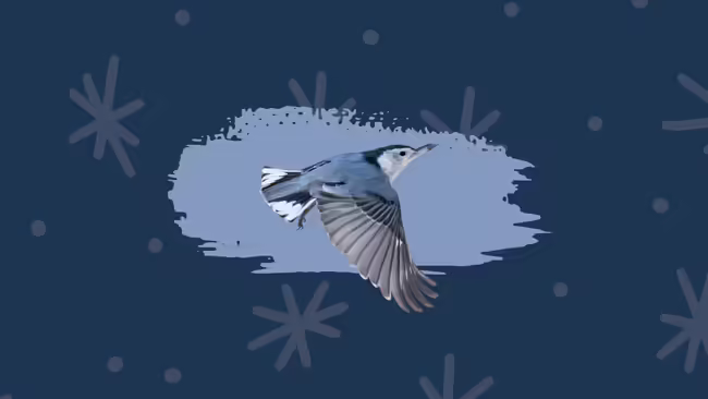 A blue bird flying with graphics of snowflakes behind it.