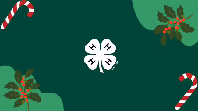 Candy canes and mistletoe with 4-H cloverleaf emblem.