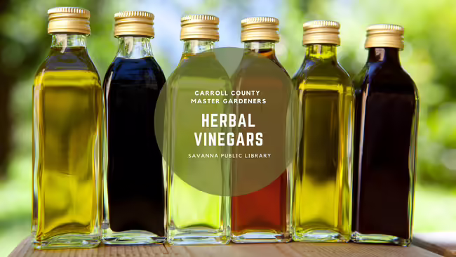 Vinegars on a shelf