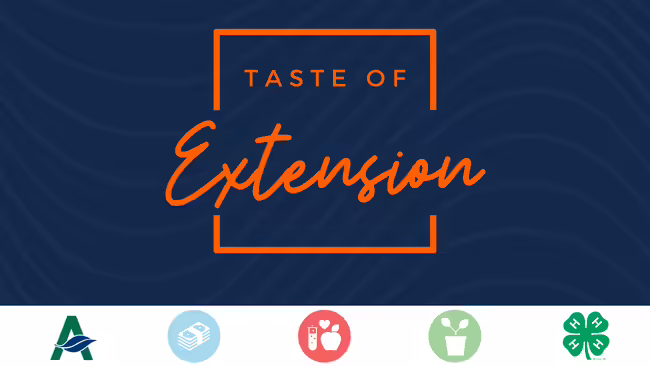 Taste of Extension